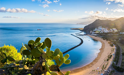 The Warmth of the Canary Islands